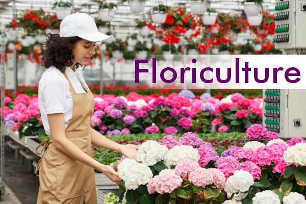 Floriculture