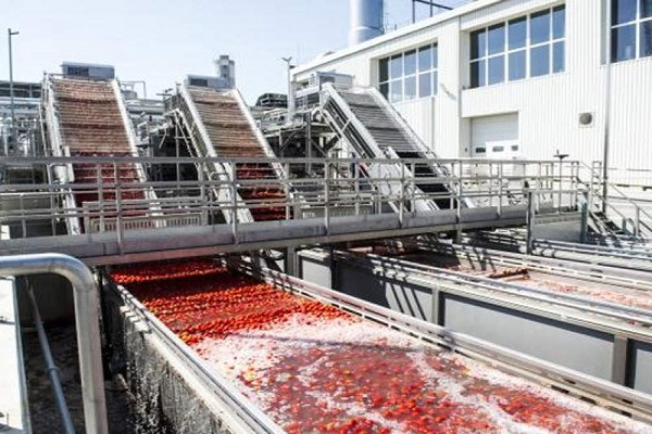 Tomato Ketchup Processing Technology